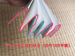 ジャバラにあわせる