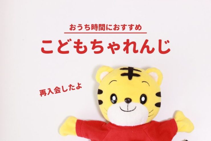 【DMまで停止させたけど】こどもちゃれんじへの再入会を決めた理由とは?